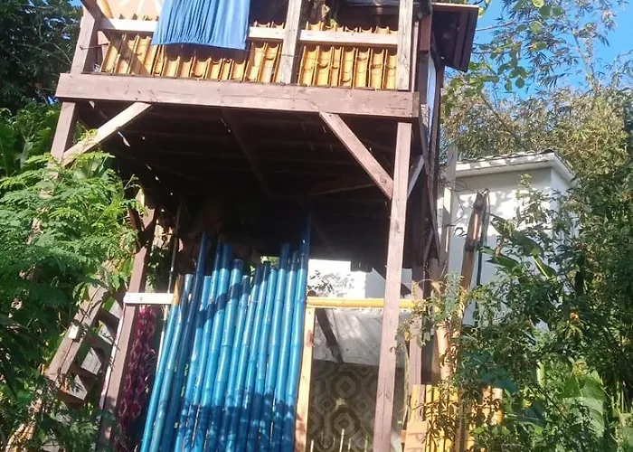 Little Treehouse