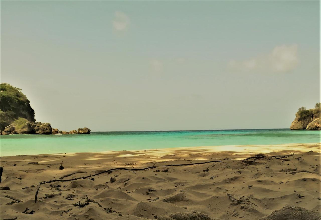 Toga Bed & Breakfast Port Antonio