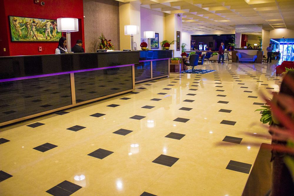The Jamaica Pegasus Kingston