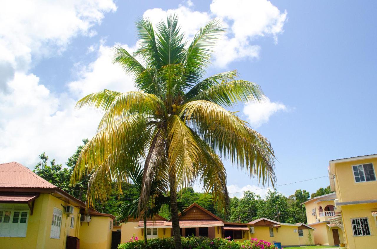 Pensión Little Shaw Park