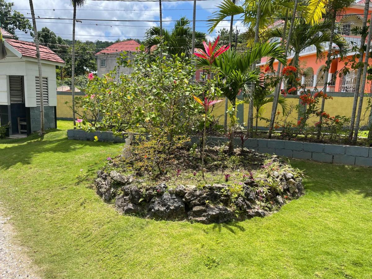 Pensión Little Shaw Park 2*