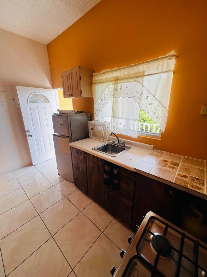 Greenskies Tower Isles Jamaica - 1&2 Bedrooms * Saint Maryʼs