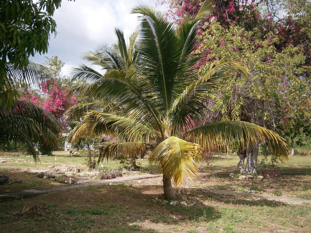 The Royal Hummingbird Hotel Negril