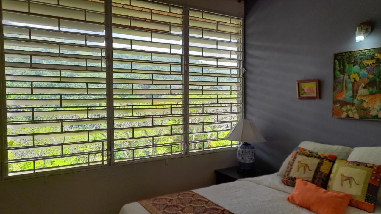 Neita's Nest 3* Kingston