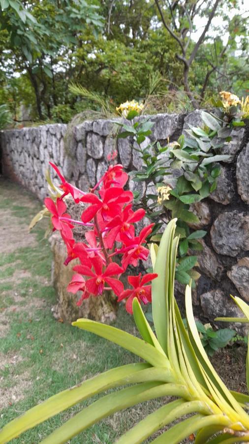 Neita's Nest Bed and breakfast