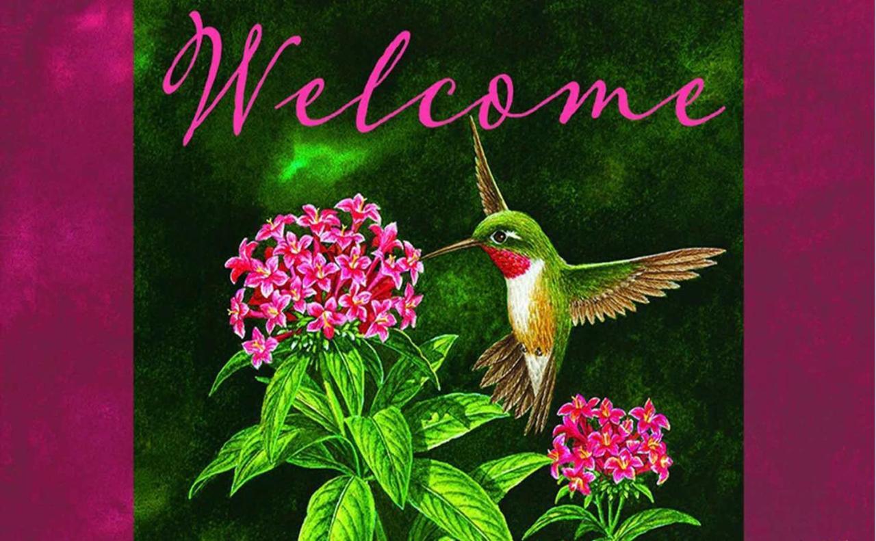 Hummingbird Retreat - Luxury Oceanview Apt, 7-minute Walk To Apartamento *