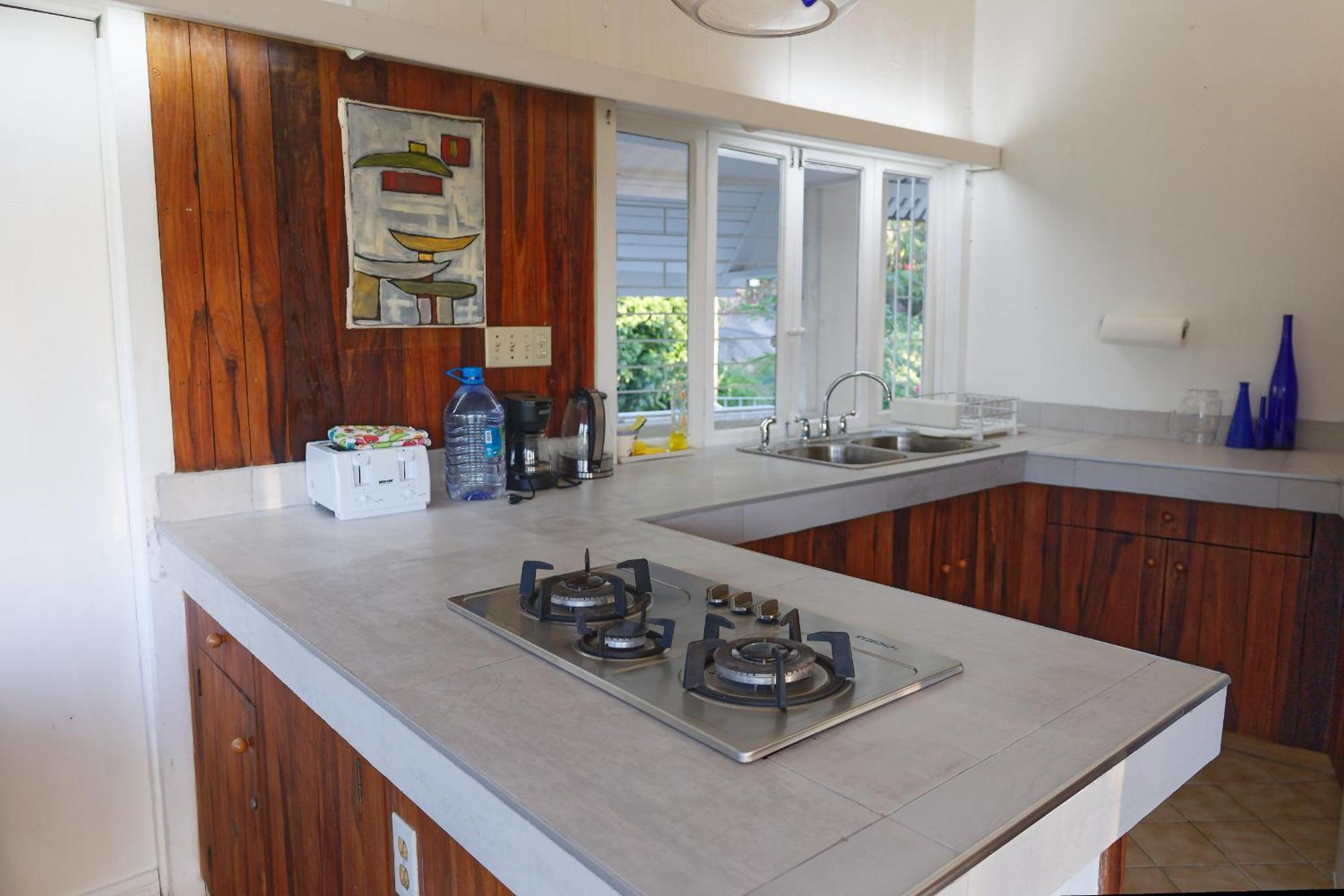 Apartamento The Fan Port Antonio