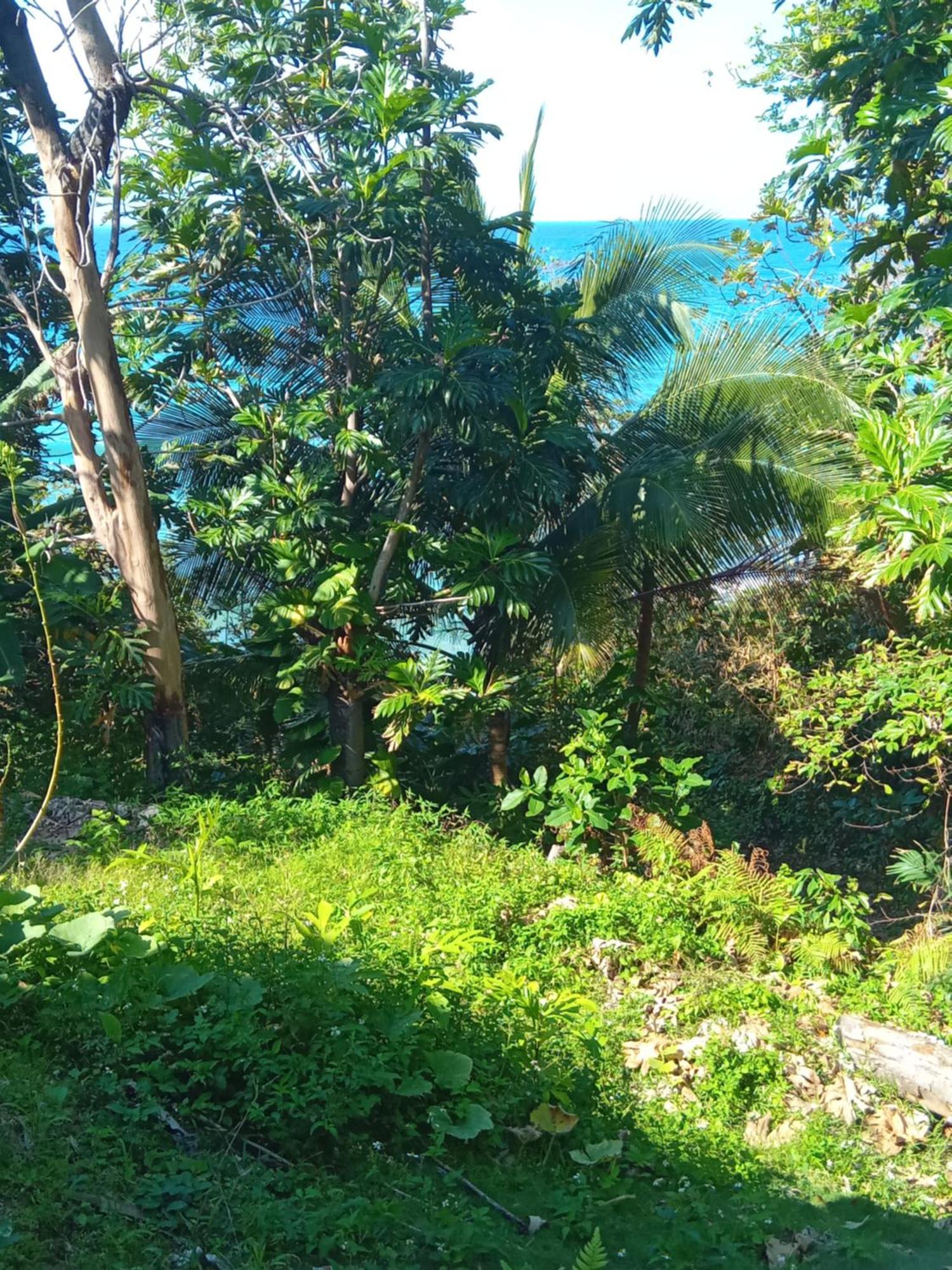 Little Treehouse Guest house