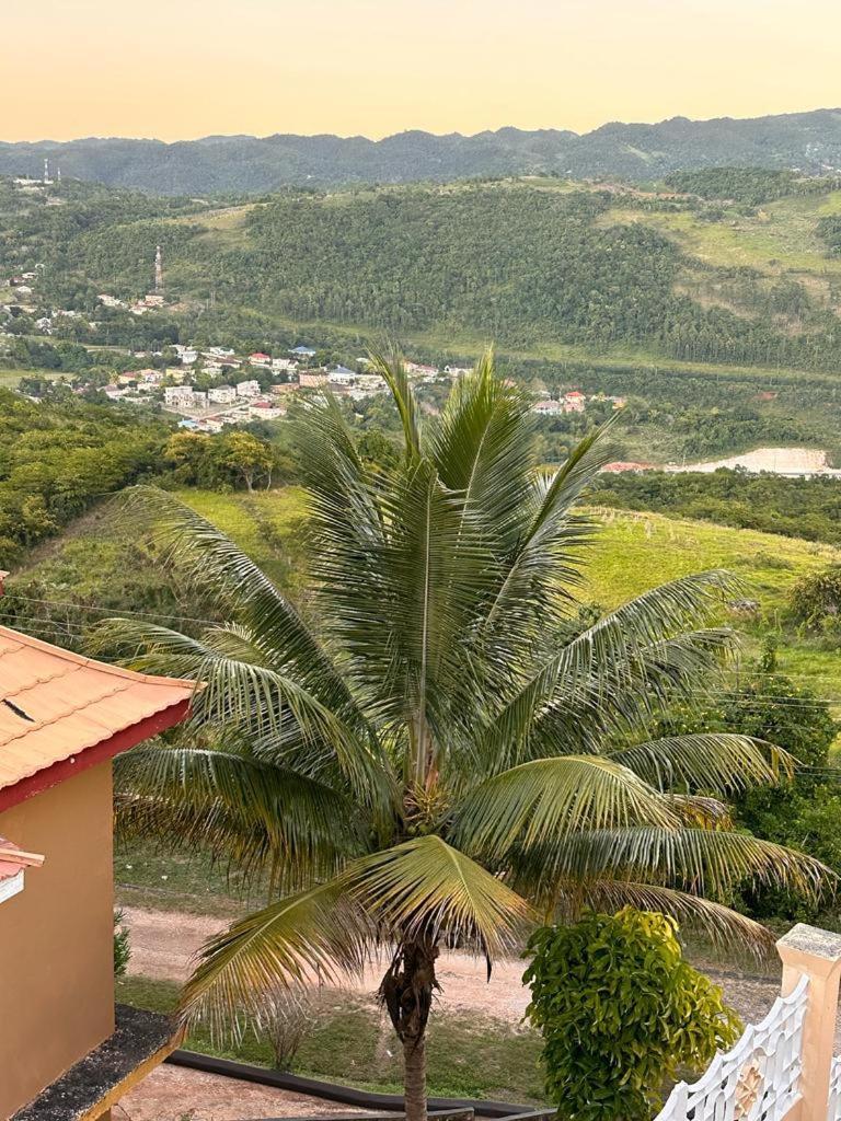 Lion's View Pensión Mandeville