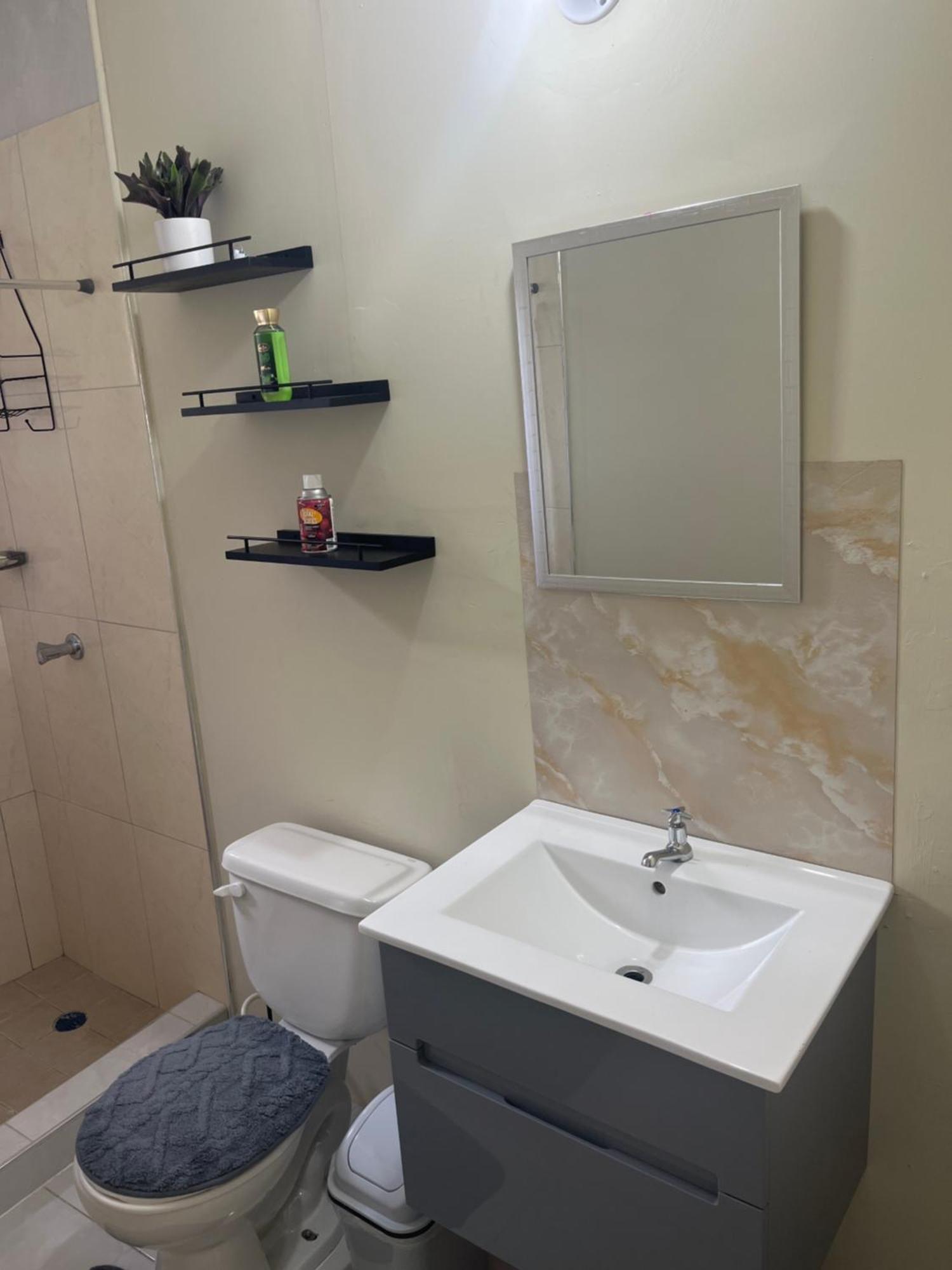 Talyaniques Essence Apartment Kingston