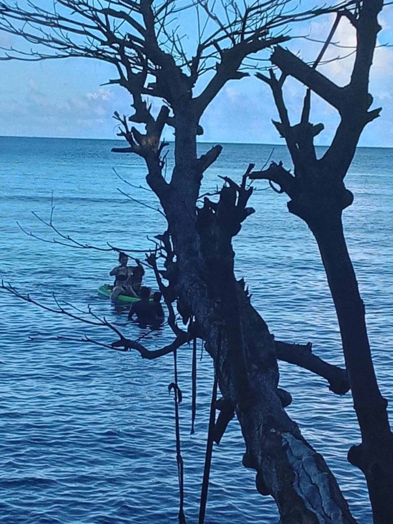 Little Treehouse Port Antonio