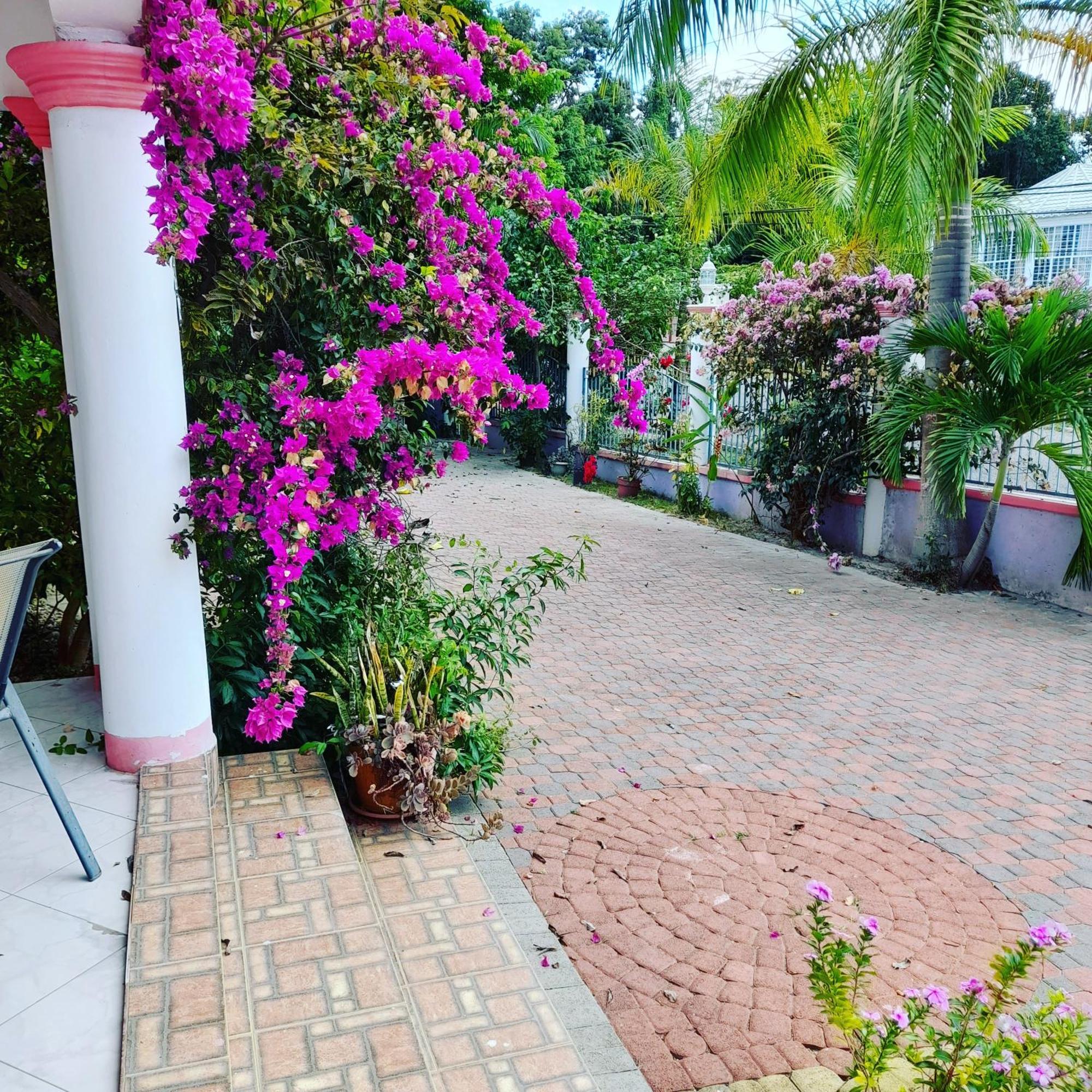 Homestay Spiritual Bliss
