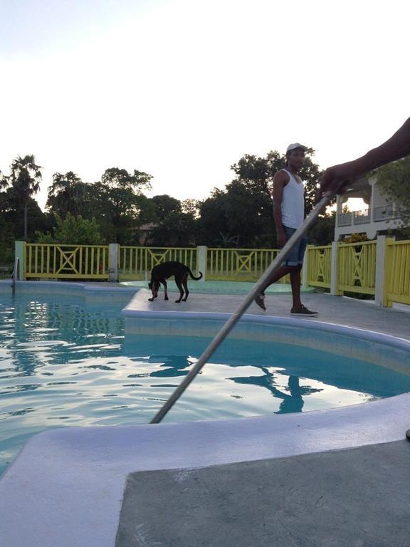 The Royal Hummingbird Hotel Negril