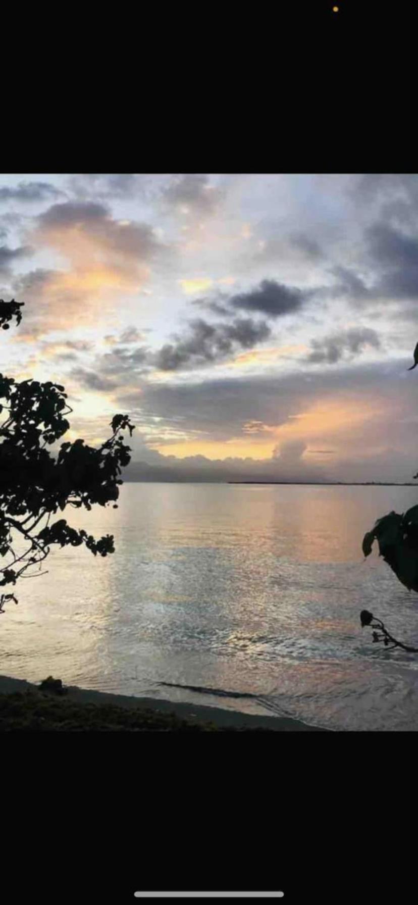 Aparthotel Bayfront And Portmore