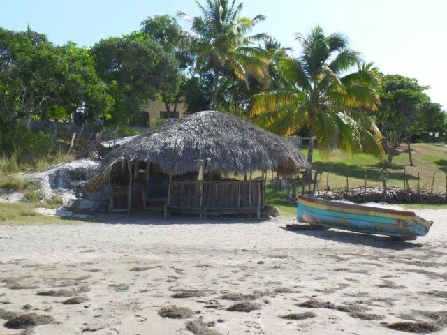 Rockside - Oceanfront Paradise With Stunning Views Treasure Beach