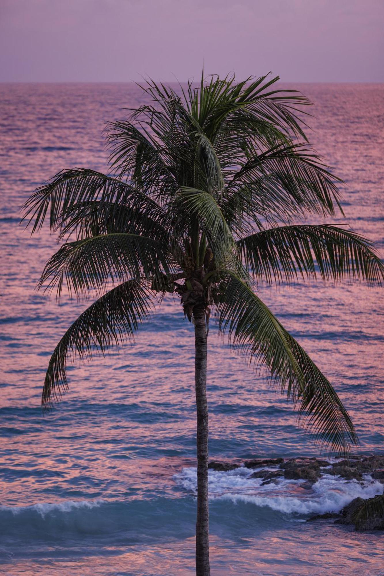 Sandals South Coast - Couples Only (adults Only) Resort