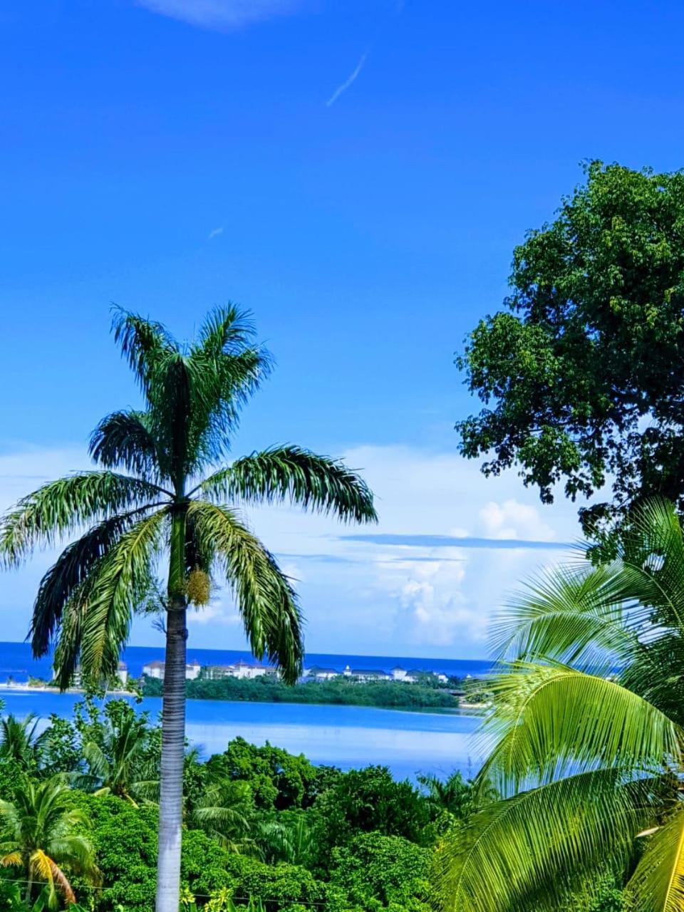 Turquoise Sea