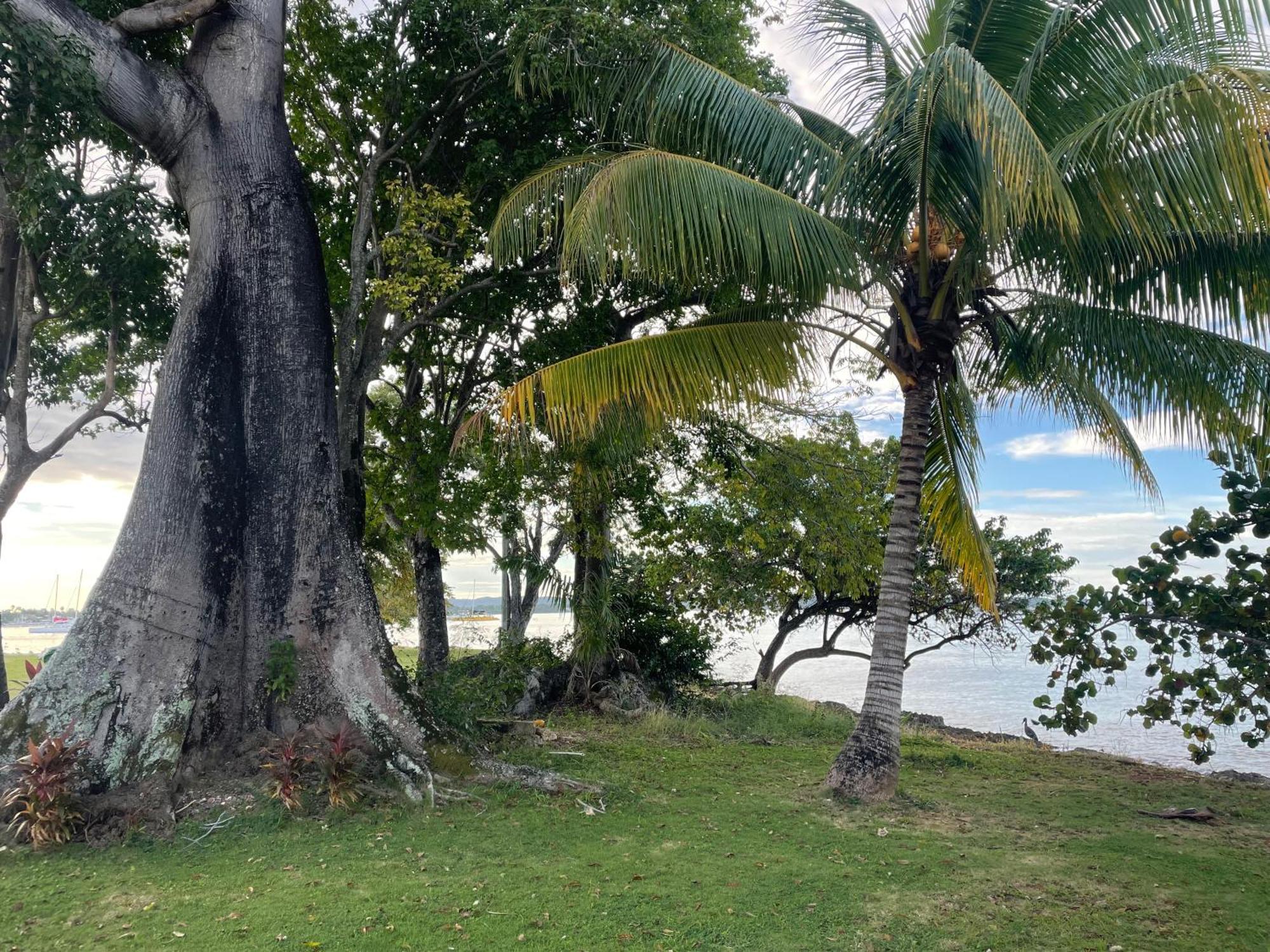 Apartamento Negril Beachfront Oceanview 164 & 145 *