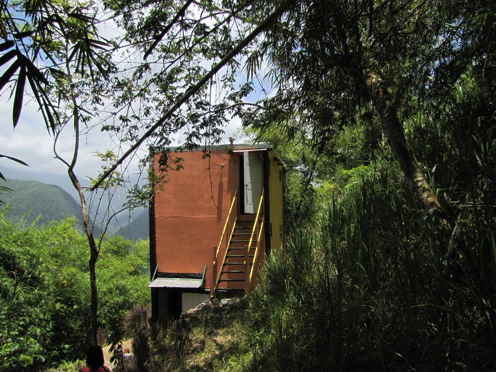 Blue Mountain Wilderness Retreat Port Antonio