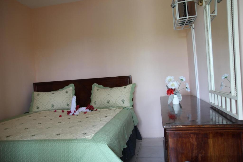 Executive Shaw Park 2* Ocho Ríos