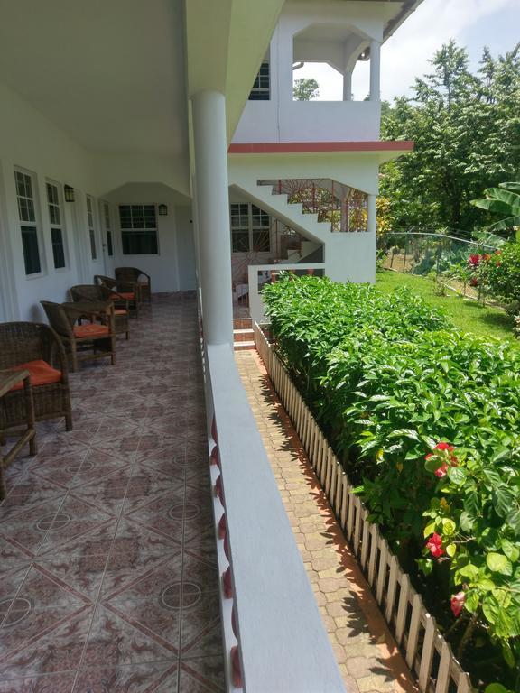 Polish Princess Guest house Port Antonio