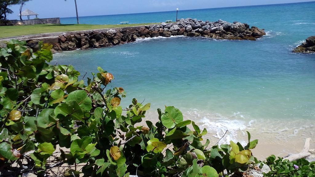 Sea Palms