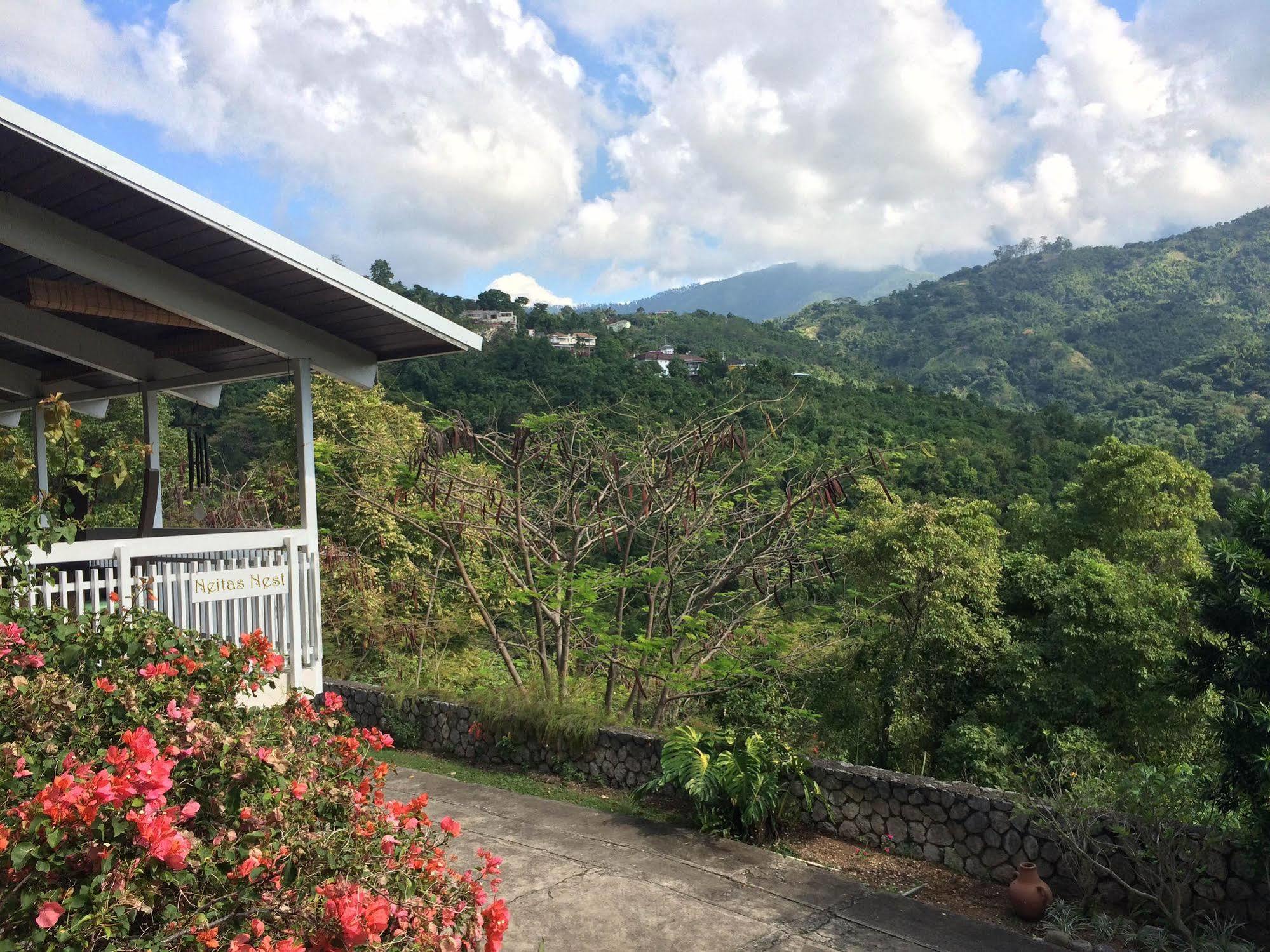 Neita's Nest 3* Kingston