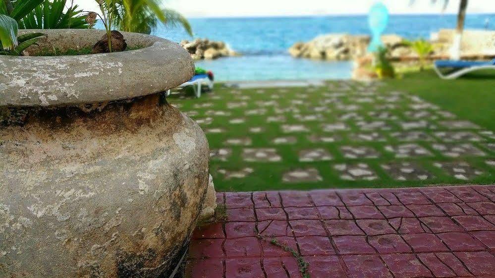 Idyllic Beachfront *