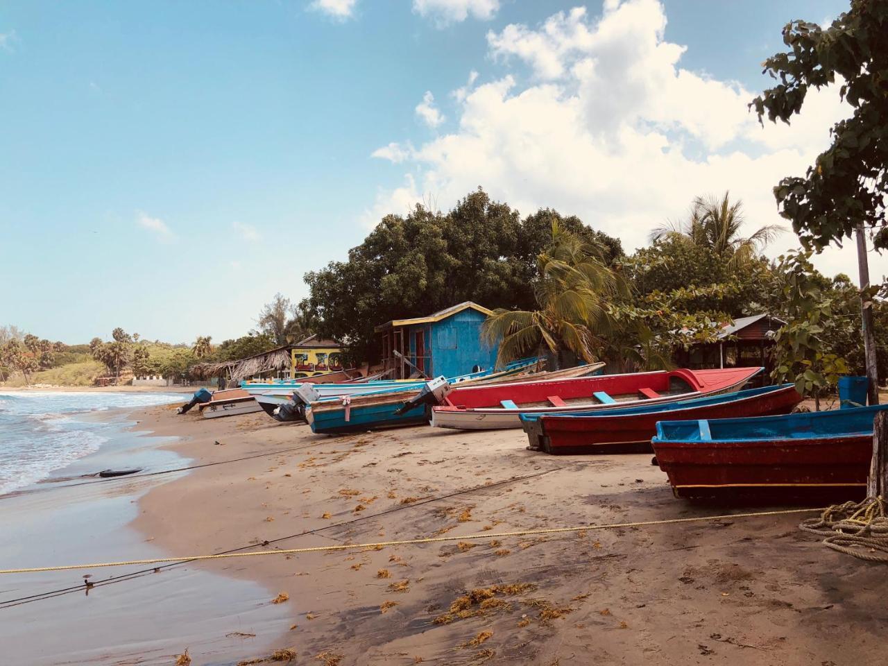 Сasa de vacaciones Turtles Nest Treasure Beach