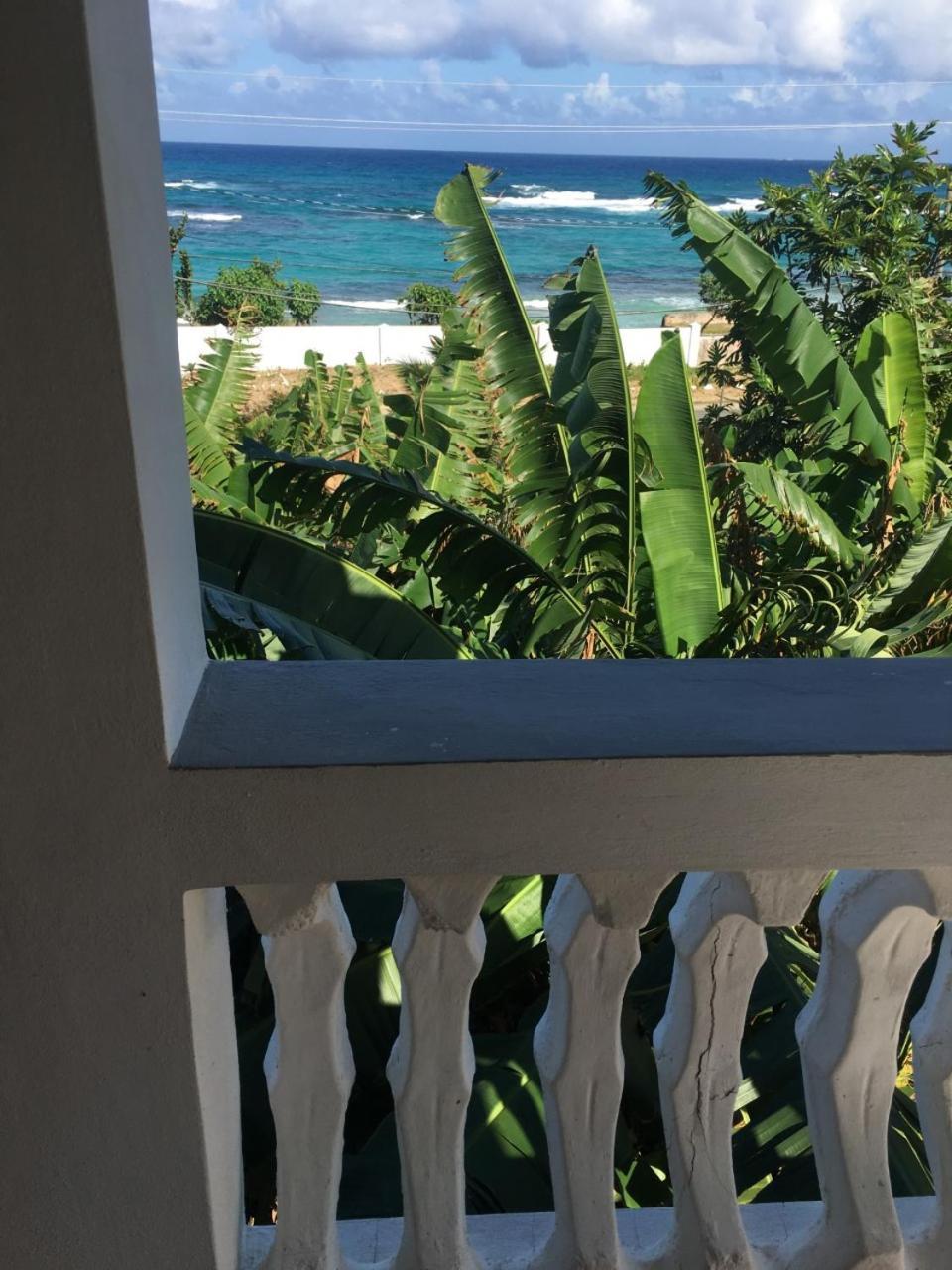 Bed & Breakfast Becaville Port Antonio
