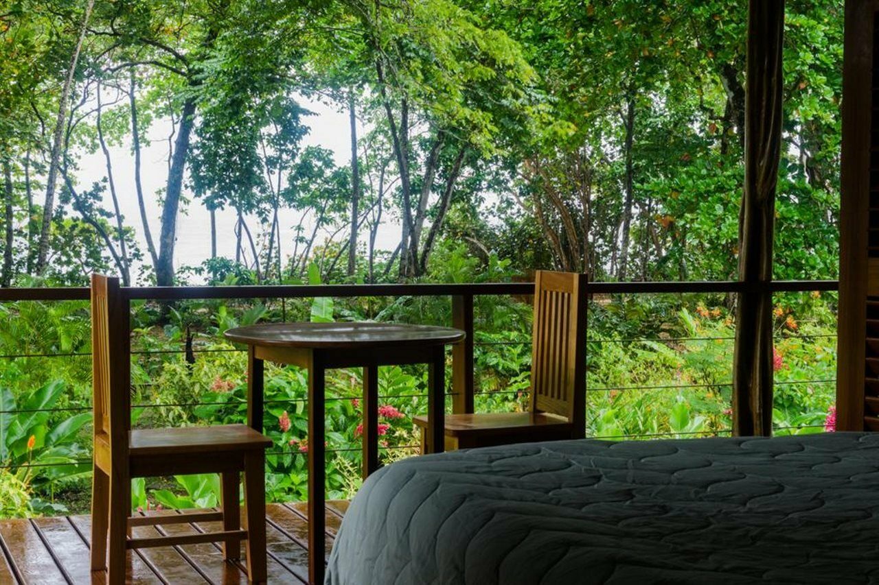 The Royal Hummingbird Hotel