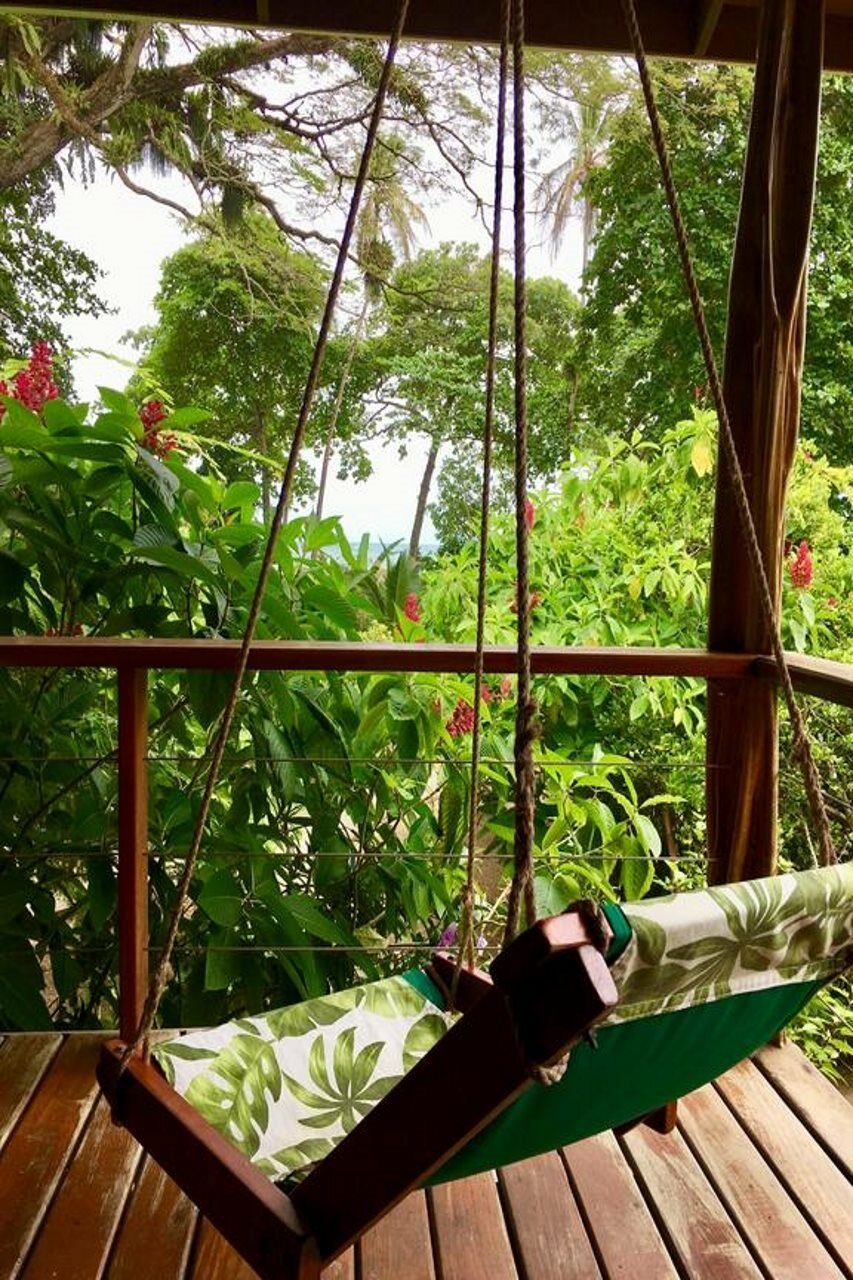 The Royal Hummingbird 3*