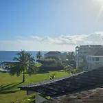 Palms By The Sea