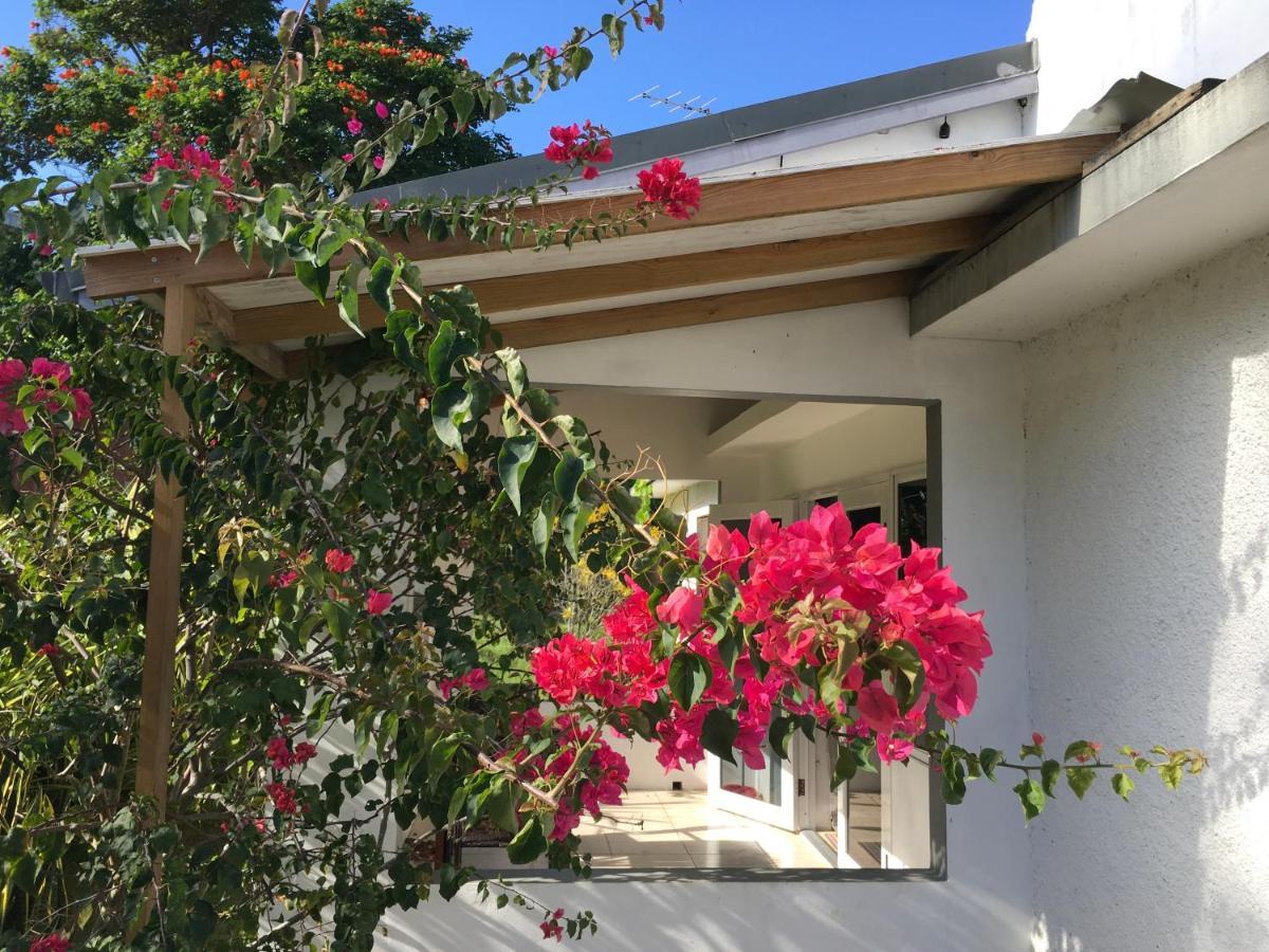 Apartment Ancella'S Garden Apartment-Beach-5Min Drive, 1 Hr Montego Bay, 25 Mins Ocho Rios, Continental Breakfast *