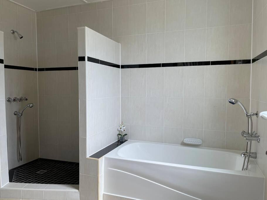 Apartment Spring Garden Mobay Luxurious *