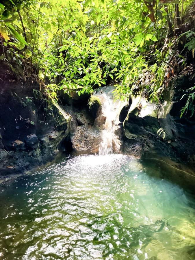 Ecoscape Jamaica - Lavish 1-br By The River Lodge *