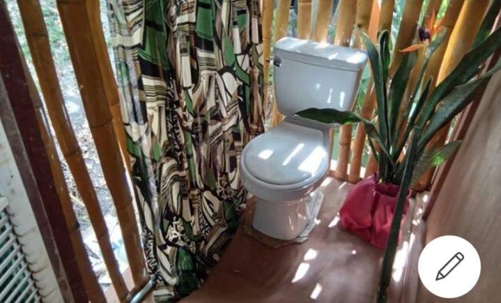 Apartamento Treehouse Above The Port Antonio