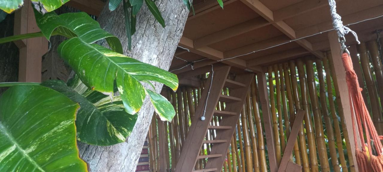 Apartamento Treehouse Above The Port Antonio