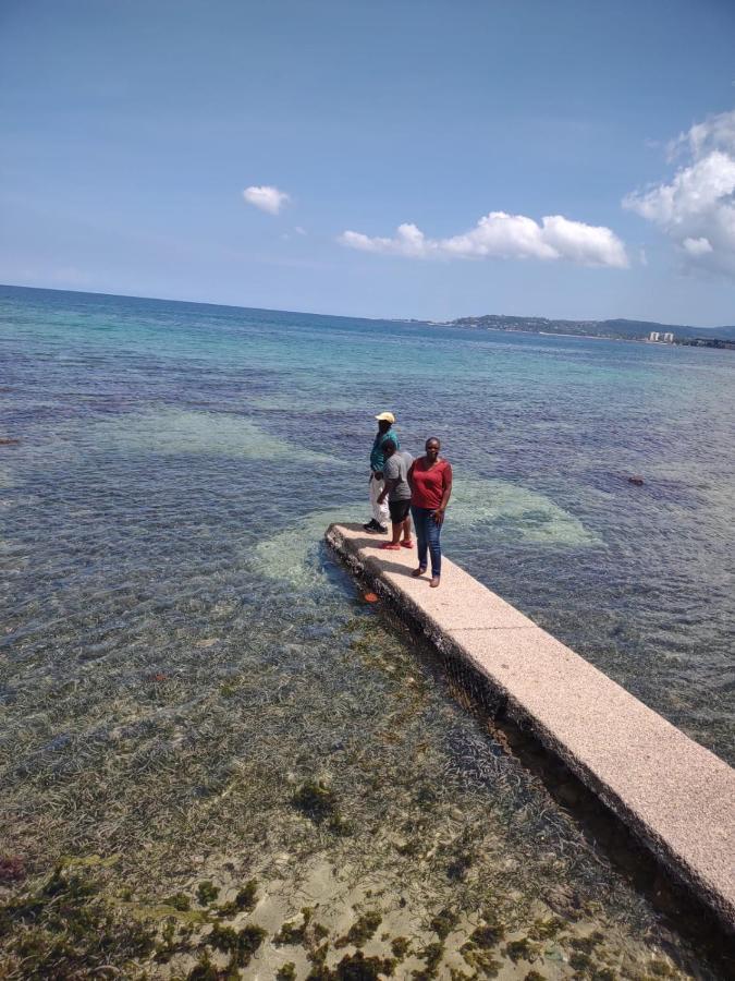 Chateau Margarita Ja Guest house Montego Bay