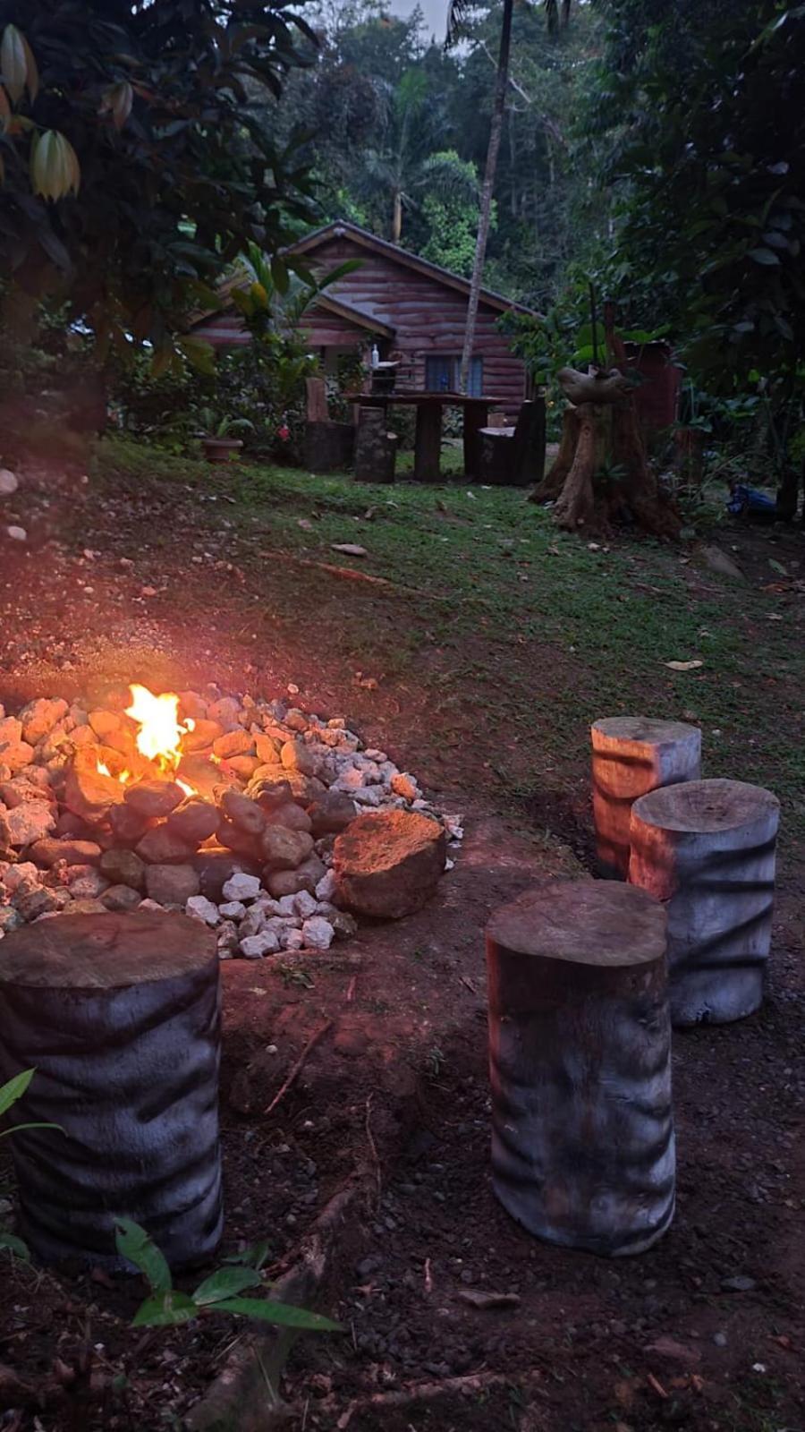 Ecoscape Jamaica - Lavish 1-br By The River Lodge