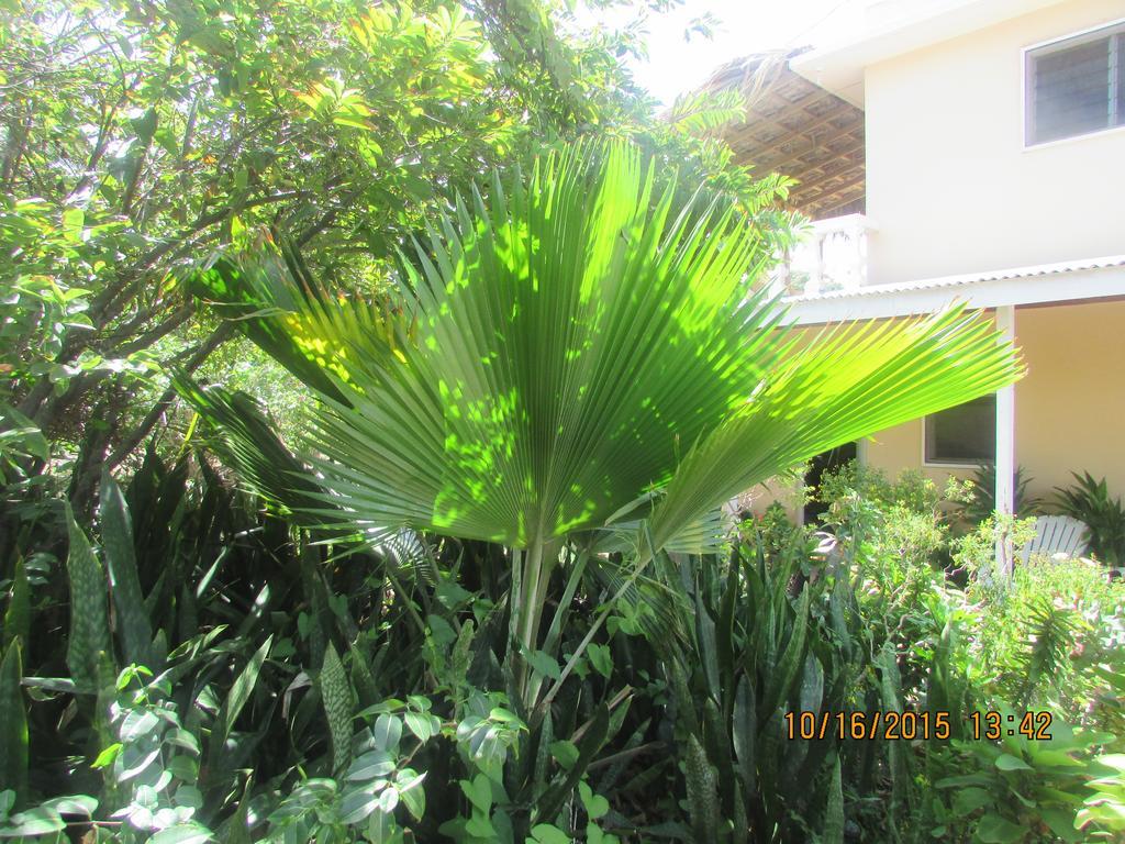 The Inn At Great Bay, Jamaica Bed & Breakfast Treasure Beach