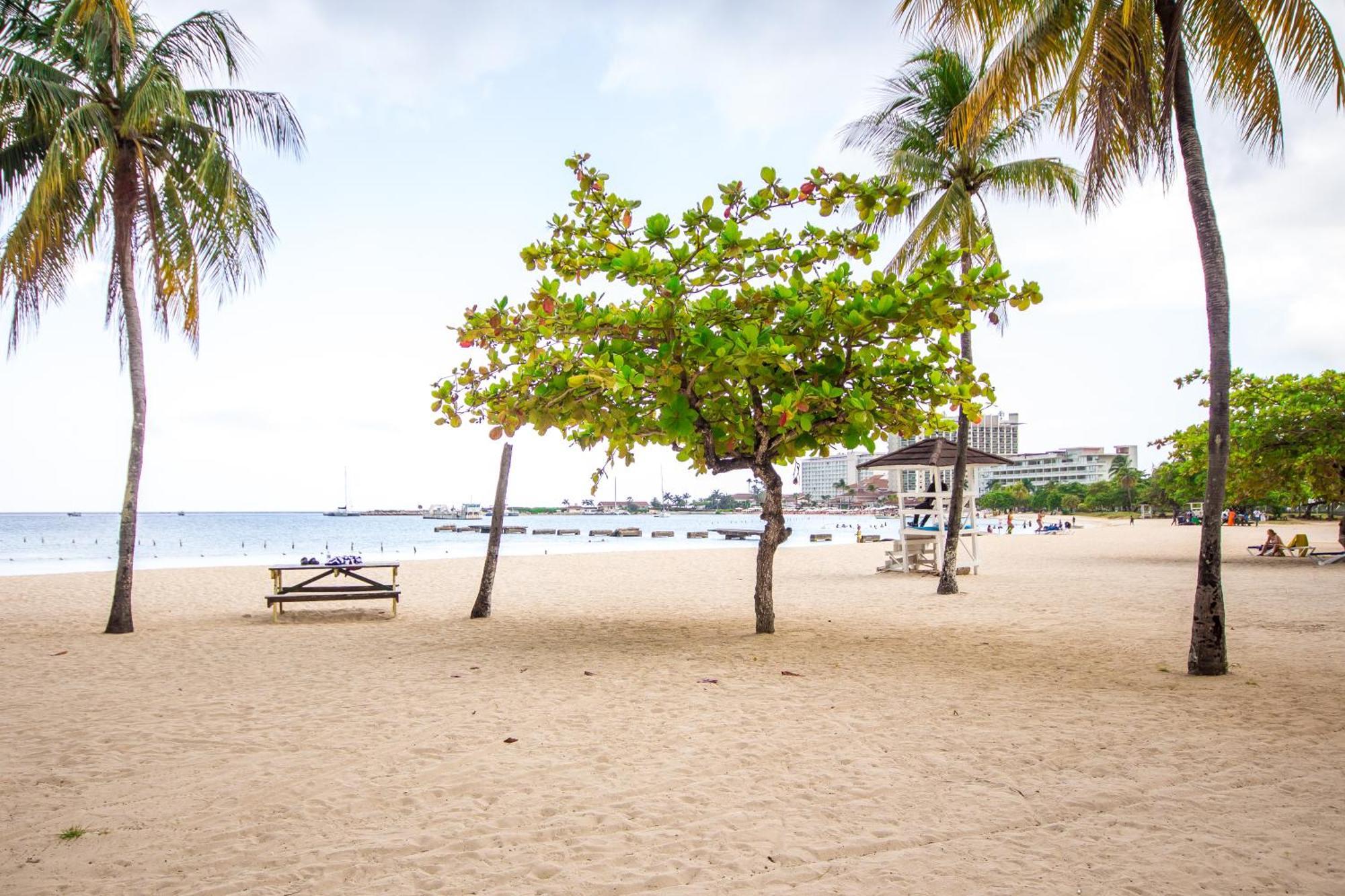 On The 1 Bed Sleeps 2-4 Apartment Ocho Rios