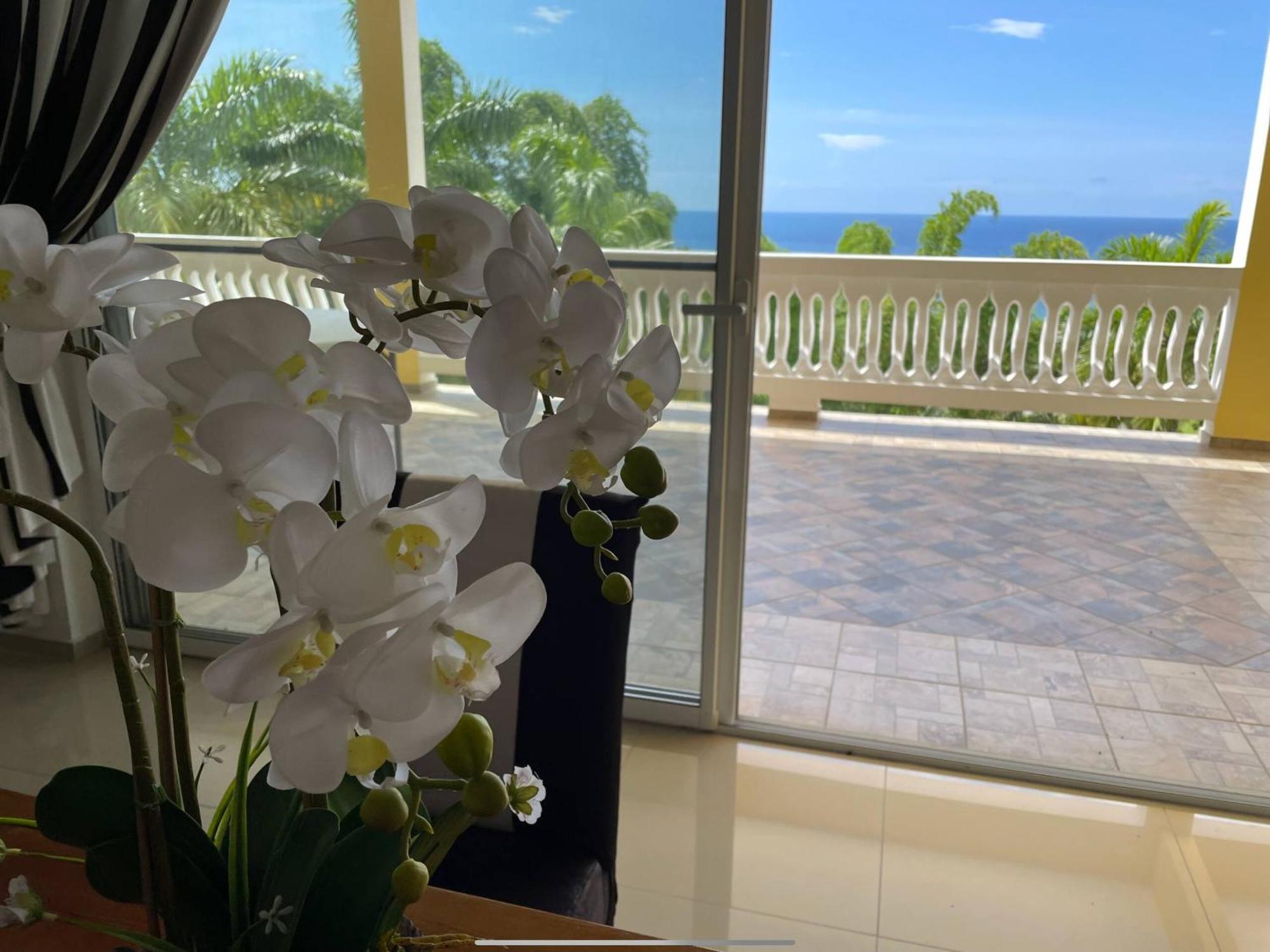 Apartahotel Spring Garden Mobay Montego Bay