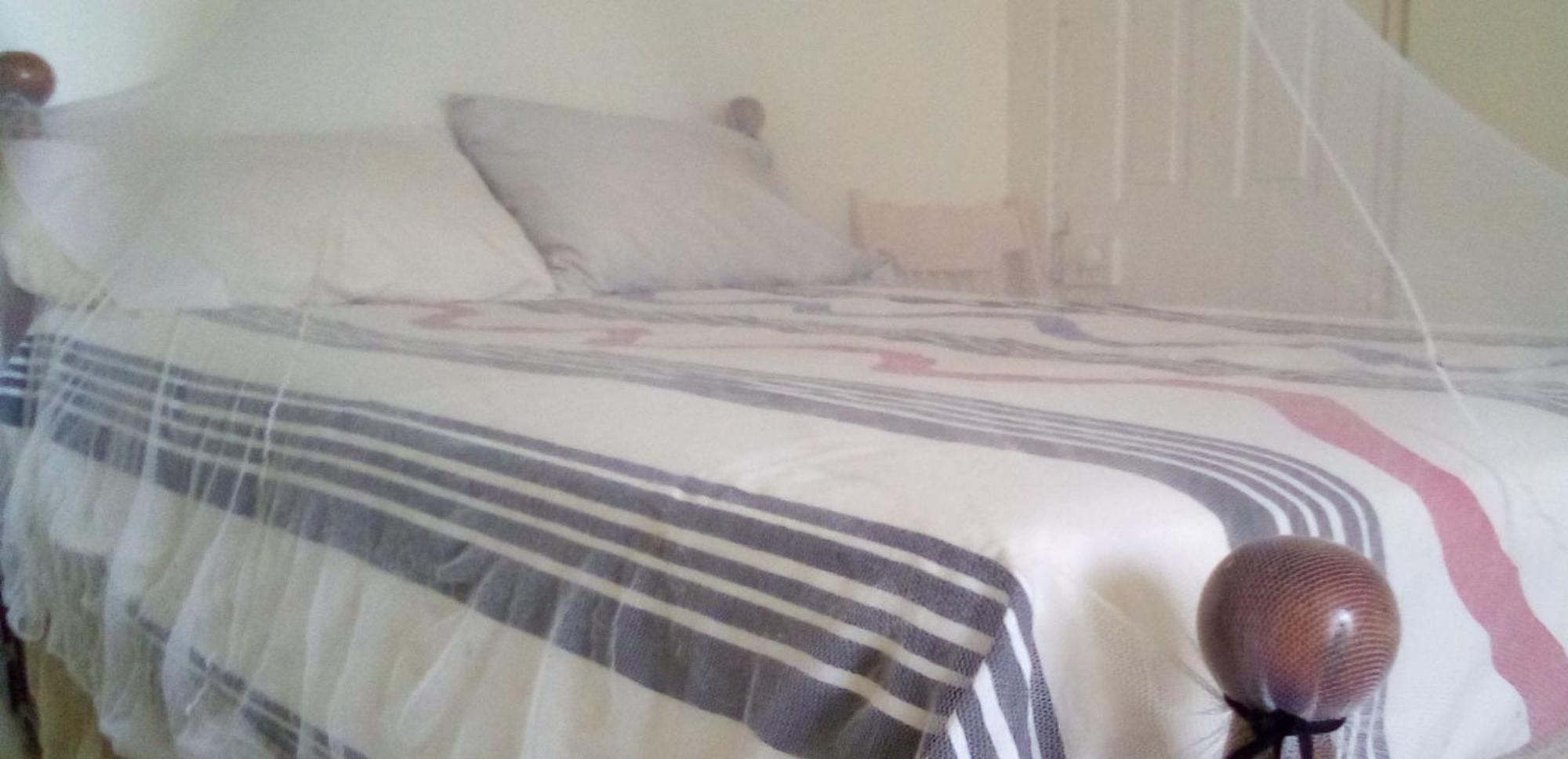 Homestay Captain Morgan House