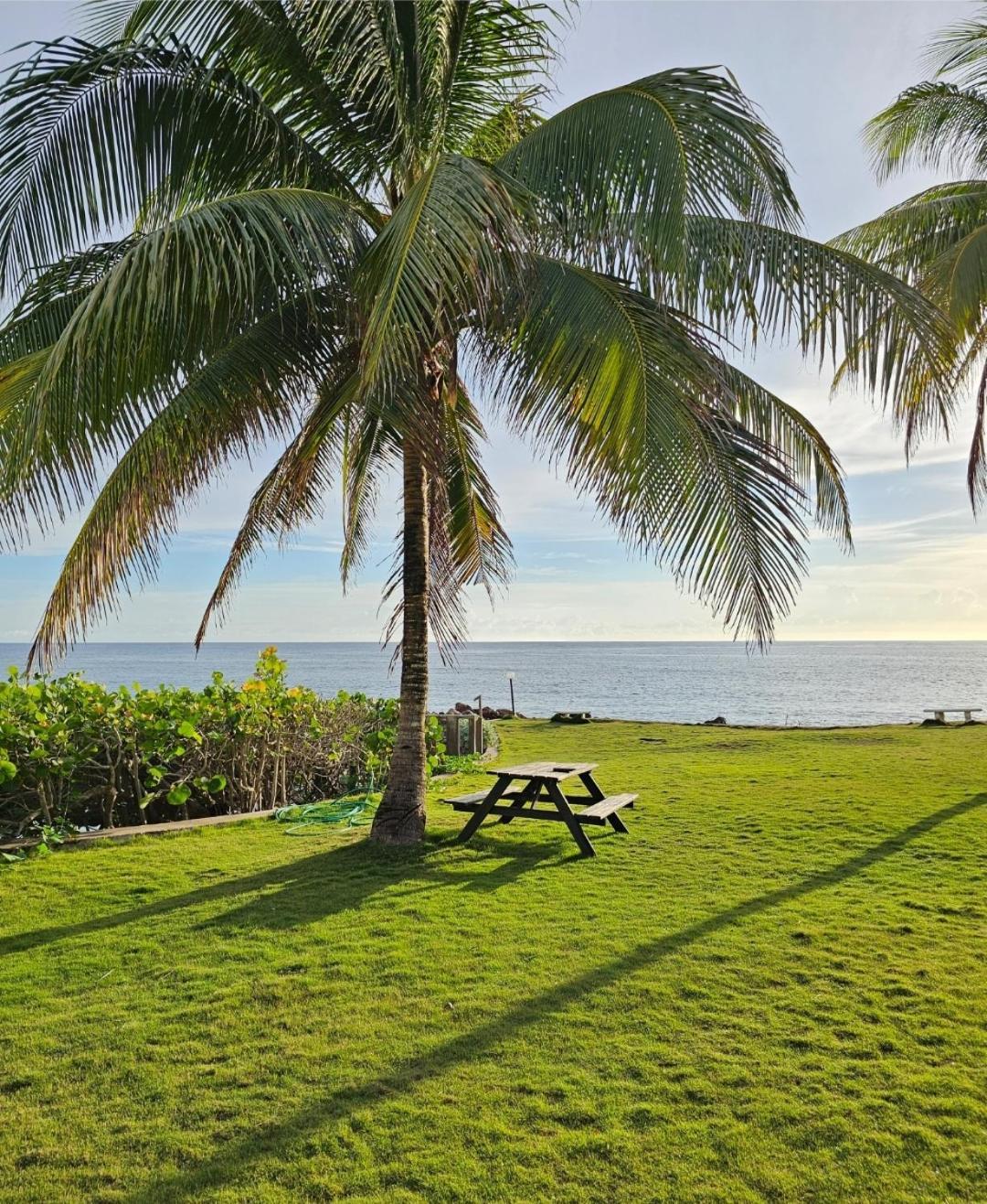 Palms By The Sea St Mary