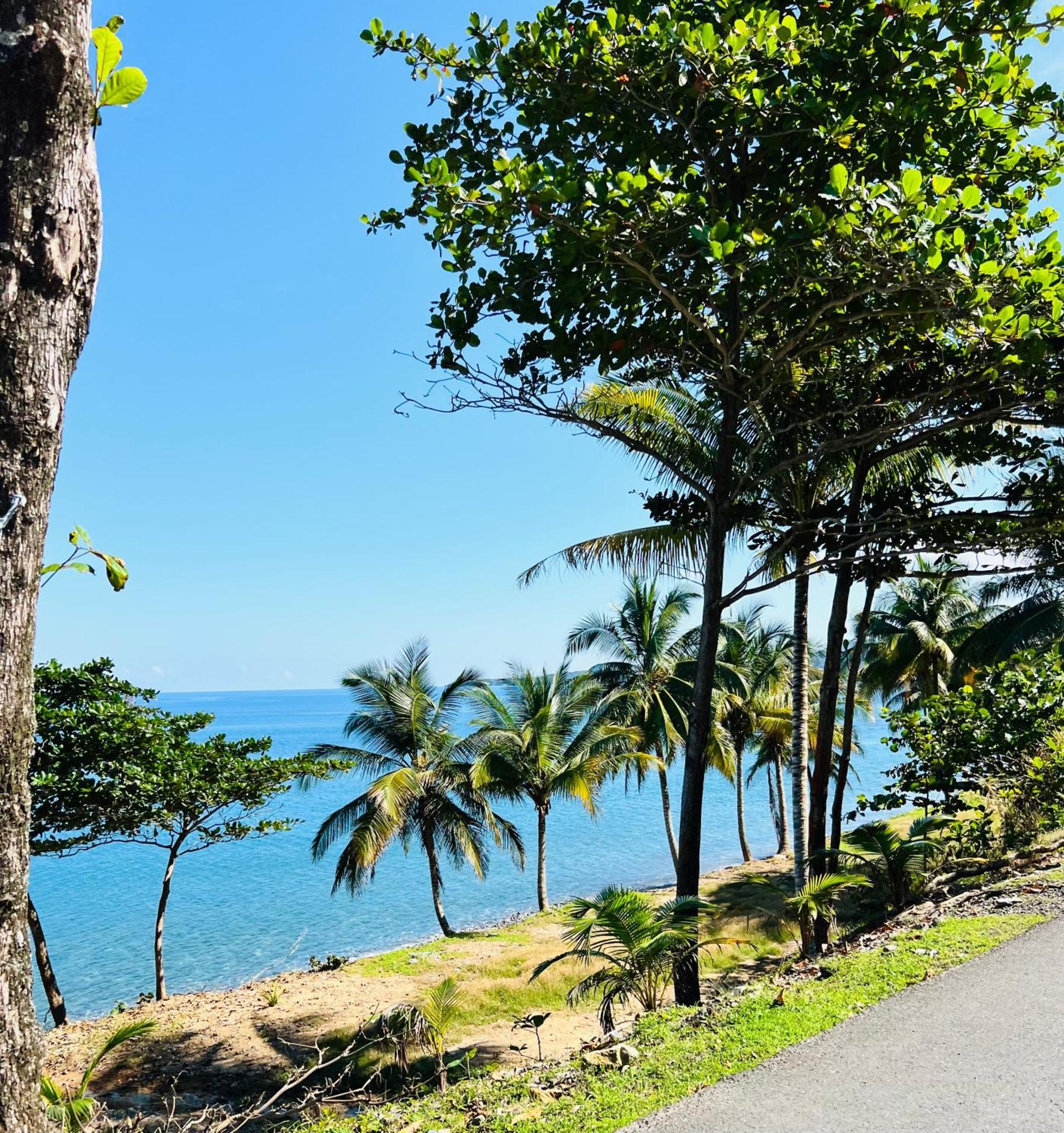 Olive Breeze Runaway Bay