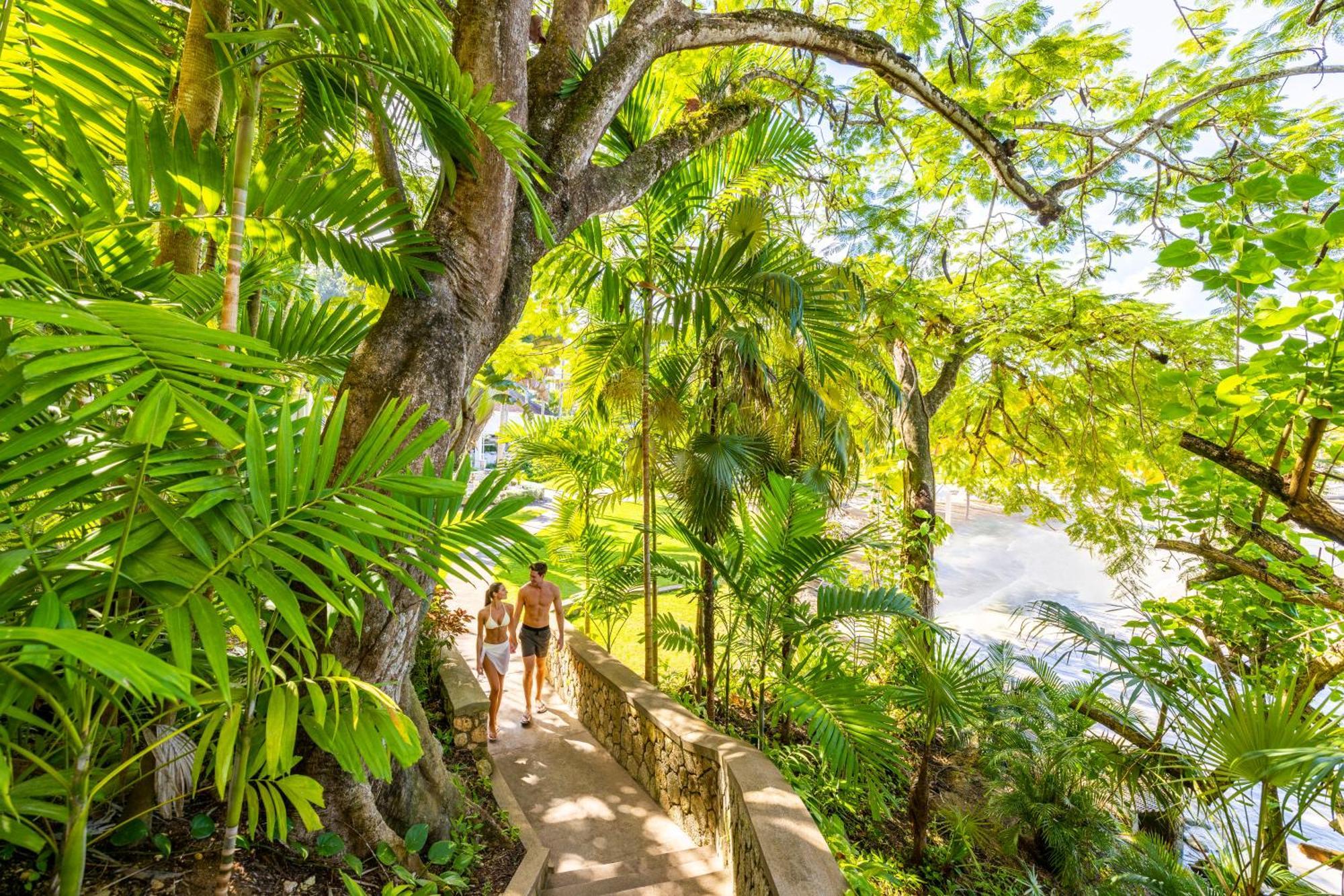Resort Couples Sans Souci (adults Only)