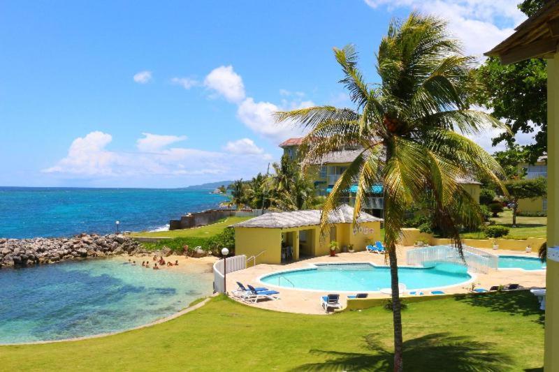 Apartment Palms By The Sea