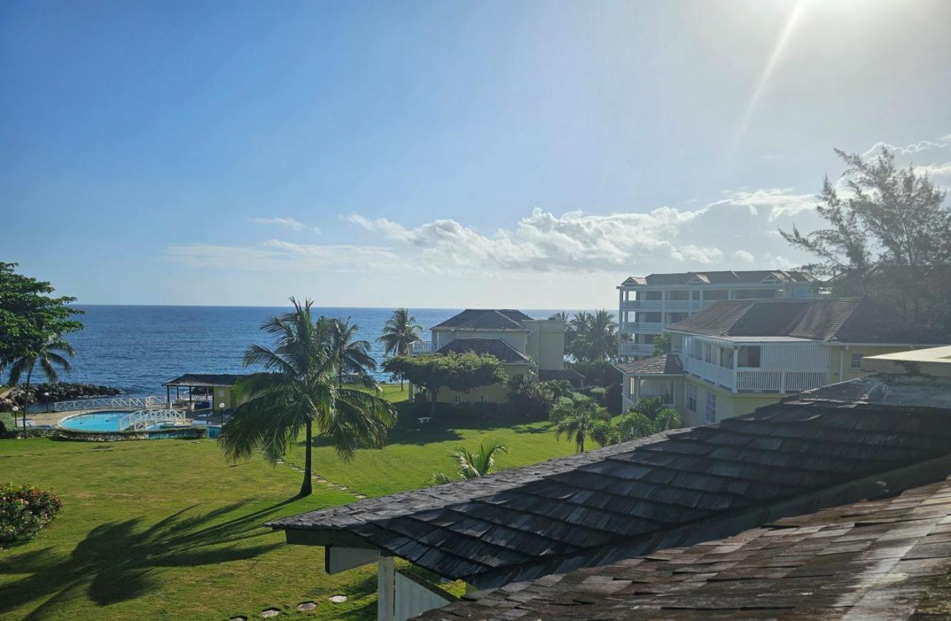 Palms By The Sea *