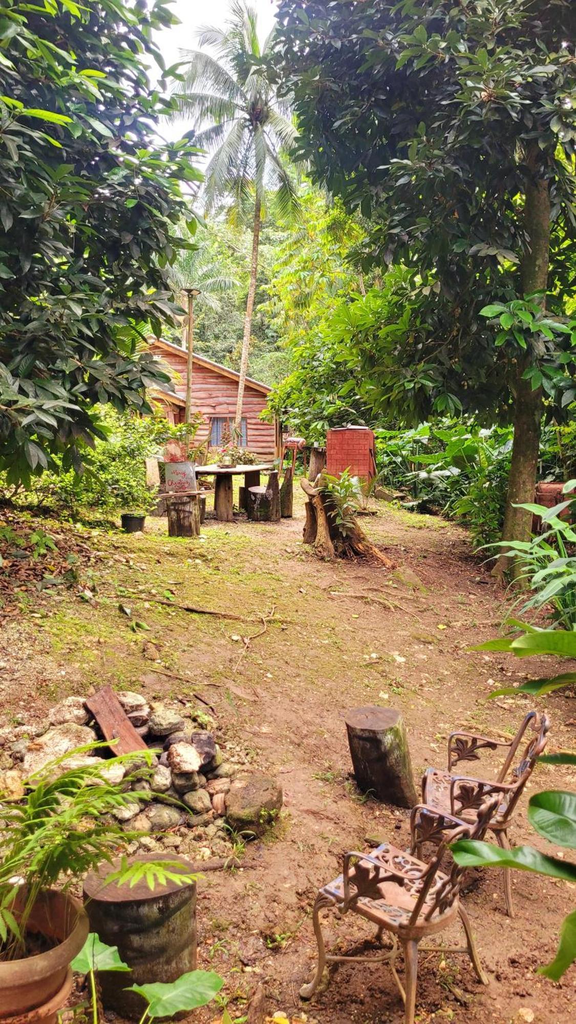 Lodge Ecoscape Jamaica - Lavish 1-br By The River *